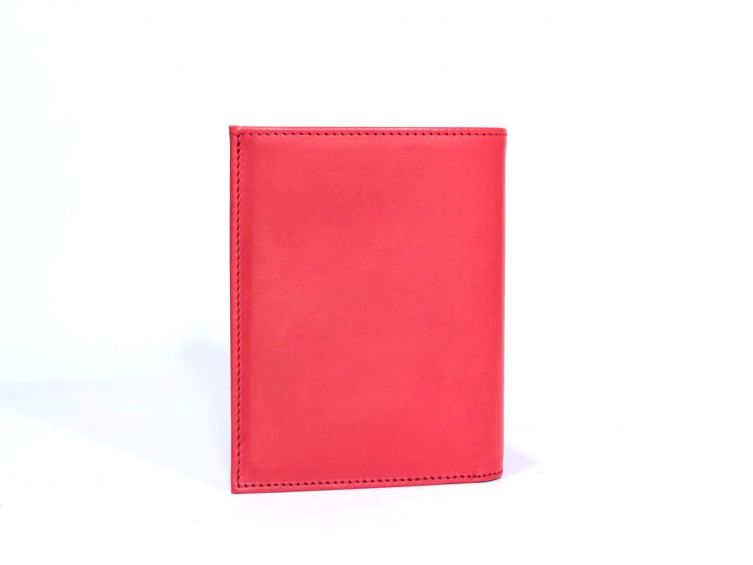 Le meilleur cuir pour votre compagnon