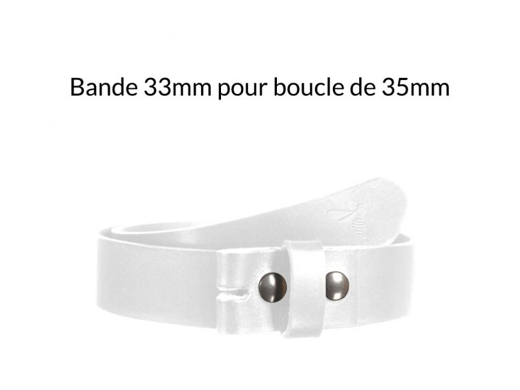 histoire de l industrie du cuir